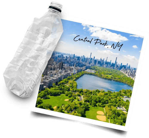 4ocean foundation central park 4ocean foundation central park