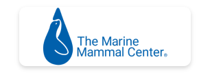 Logo-3