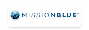 Logo-Aug-19-2025-03-37-56-8088-AM