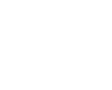 florida globe icon