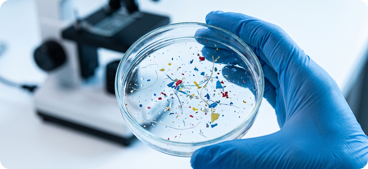bacteria